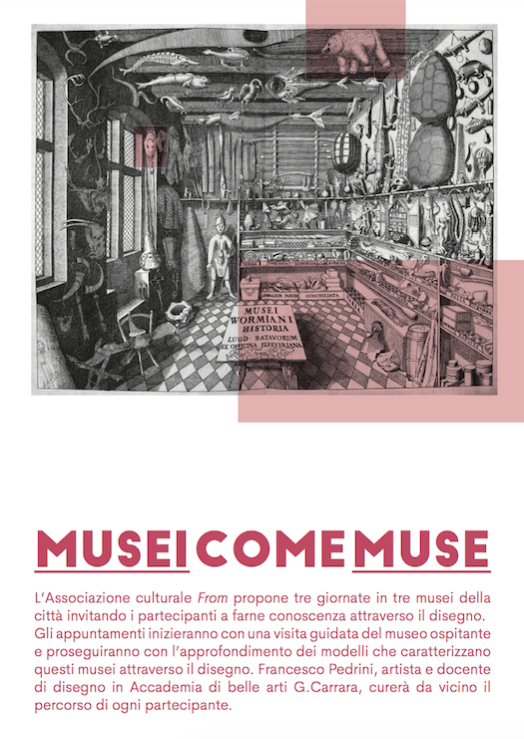 Musei come_Muse