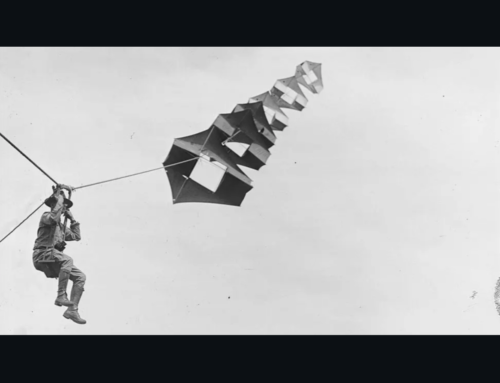 Francesco Pedrini e l’Università del Vento: esercizi d’ampiezza tra arte e natura